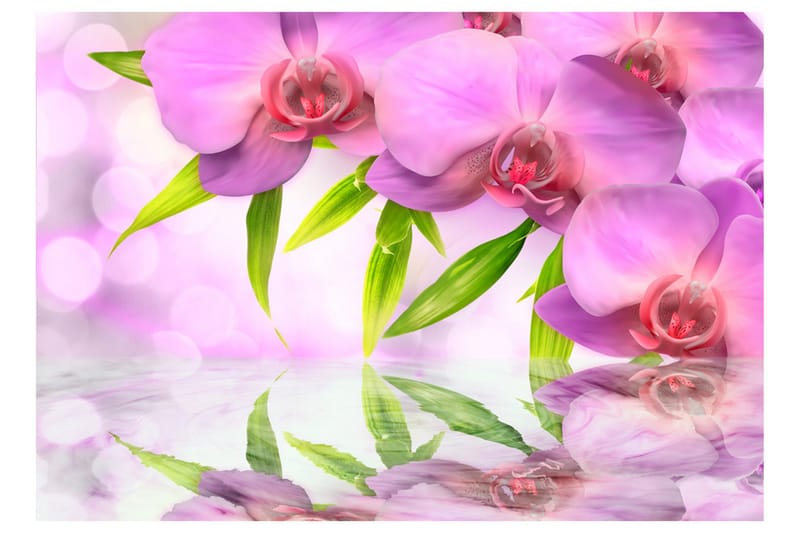 Fototapet Orchids In Lilac Colour 200x140 - Artgeist sp. z o. o. - Boligtilbehør - Vægdekoration - Tapeter - Fototapeter