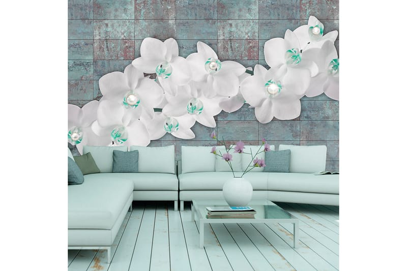 Fototapet Orchids With Pearls 250x175, Artgeist sp. z o. o.