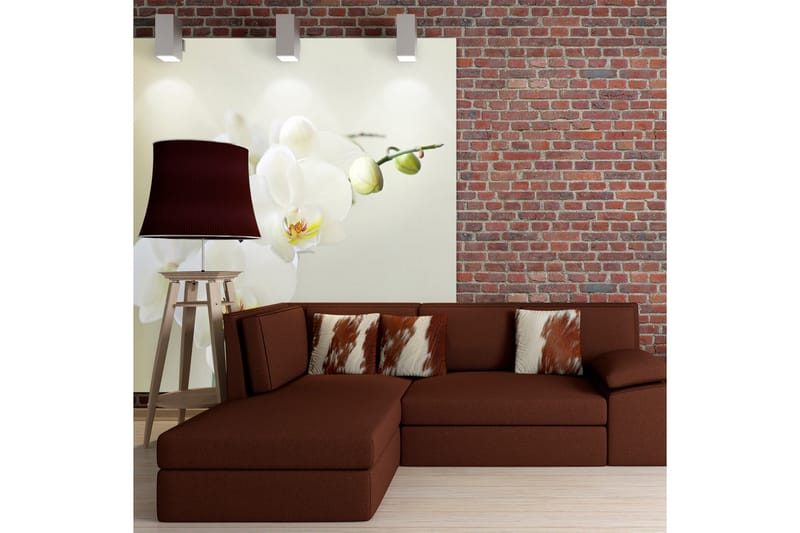 Fototapet Orchidwhite 300x231, Artgeist sp. z o. o.