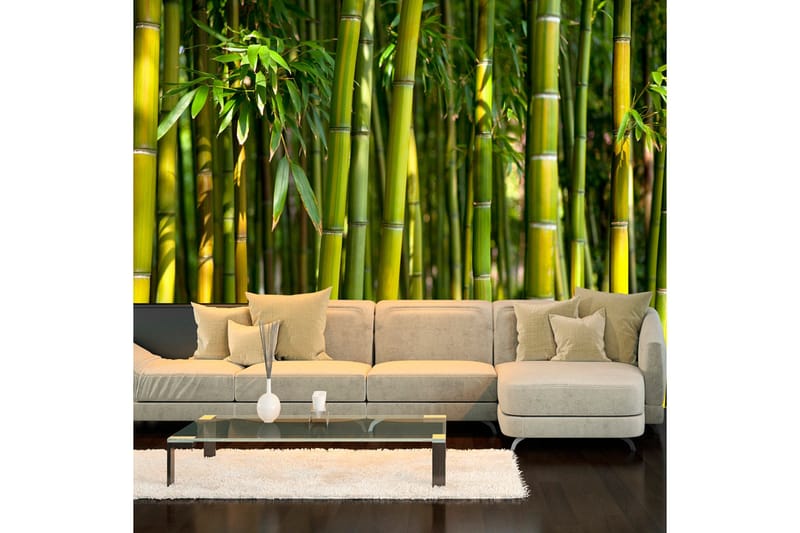 Fototapet Oriental Garden 350x245, Artgeist sp. z o. o.