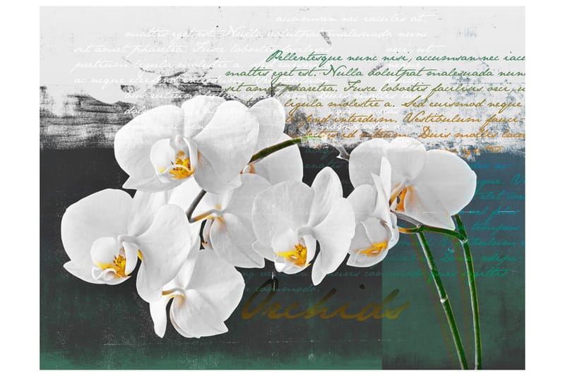 Fototapet Orkidé Poet Inspiration 300x231, Artgeist sp. z o. o.