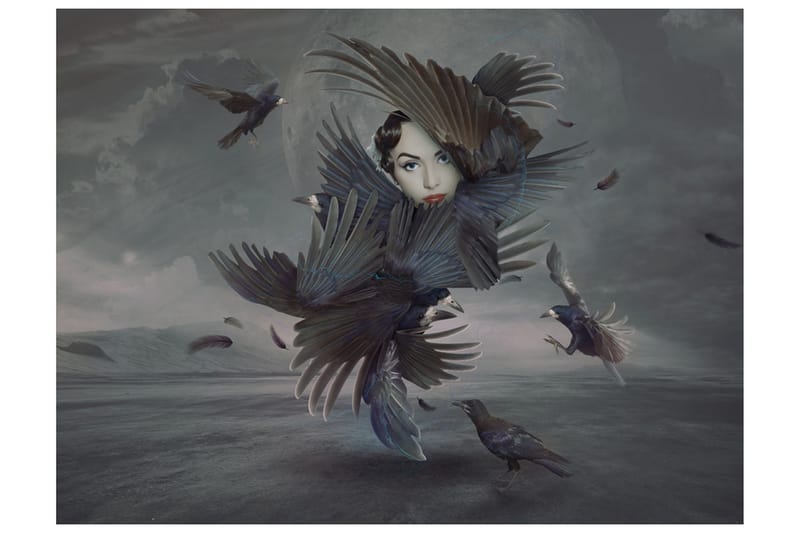 Fototapet Overdækket Fjer 250x193, Artgeist sp. z o. o.