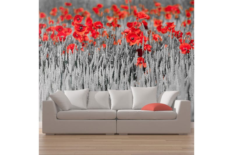 Fototapet Rød Valmuer På Sort Og Hvid Baggrund 450x270, Artgeist sp. z o. o.
