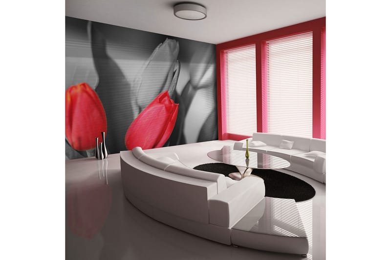 Fototapet Røde Tulipaner På Sort Og Hvid Baggrund 350x270, Artgeist sp. z o. o.