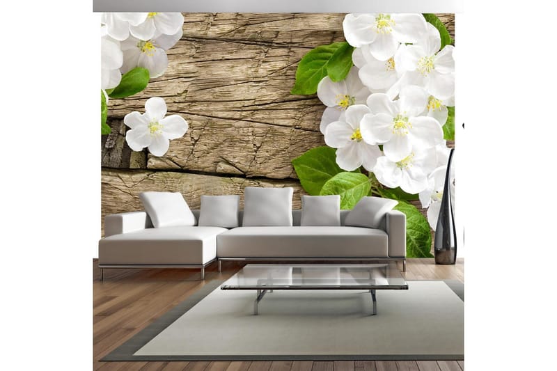 Fototapet Raw Beauty 300x210, Artgeist sp. z o. o.