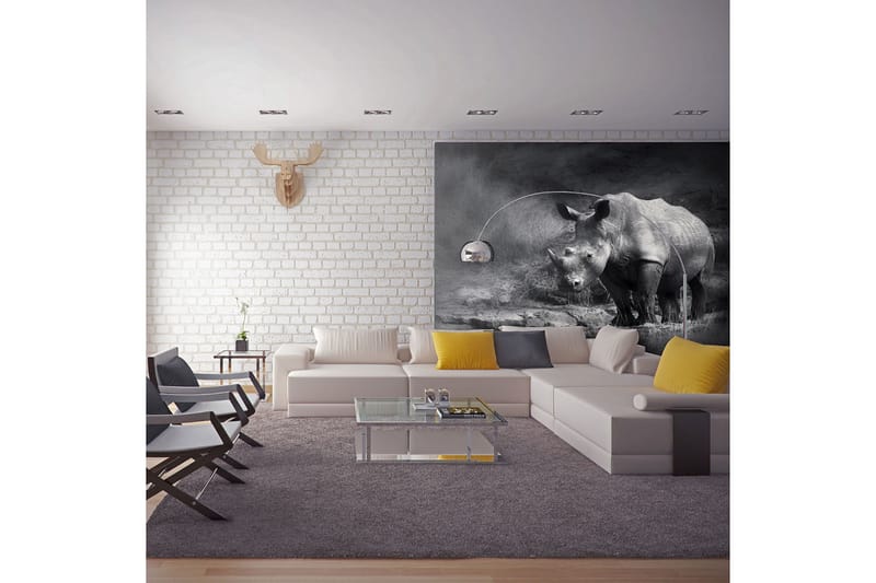 Fototapet Rhino Lost In Dreams 400x309, Artgeist sp. z o. o.