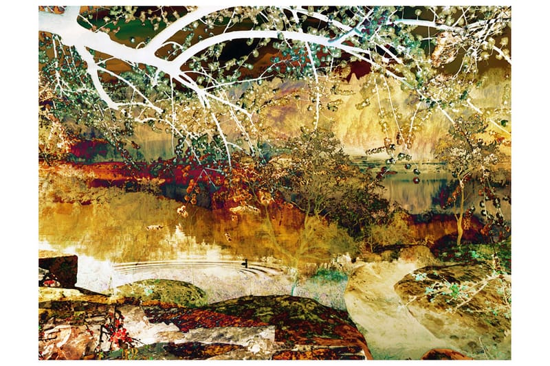 Fototapet River Of Life 400x309, Artgeist sp. z o. o.