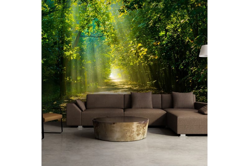 Fototapet Road In Sunlight 200x140 - Artgeist sp. z o. o. - Boligtilbehør - Vægdekoration - Tapeter - Fototapeter