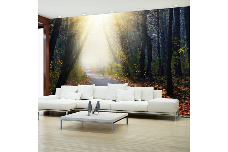 Fototapet Road Through The Forest 200x140, Artgeist sp. z o. o.