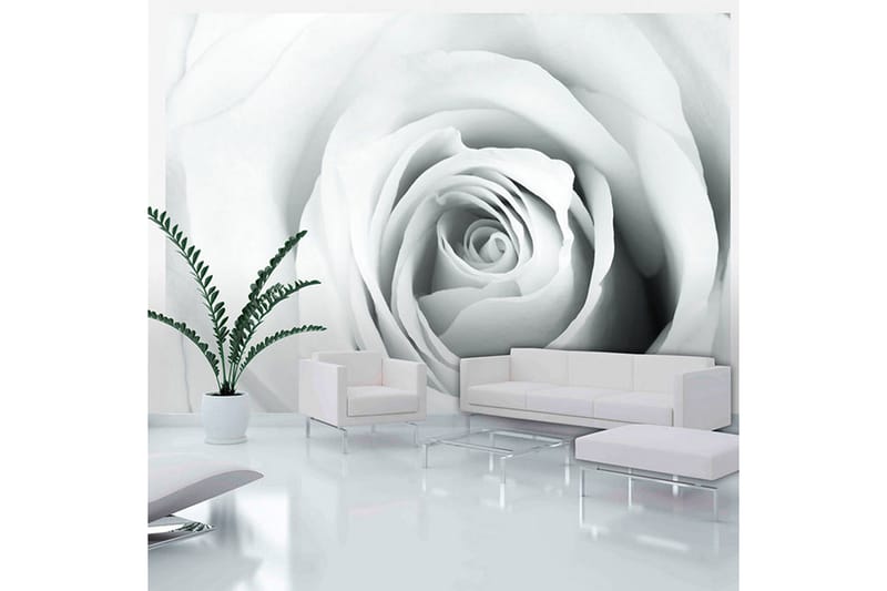 Fototapet Rose Charade 350x245 - Artgeist sp. z o. o. - Boligtilbehør - Vægdekoration - Tapeter - Fototapeter