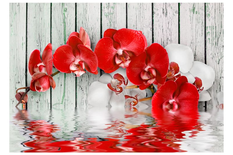 Fototapet Ruby Orchid 100x70 - Artgeist sp. z o. o. - Boligtilbehør - Vægdekoration - Tapeter - Fototapeter