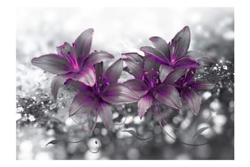 Fototapet Secret Of The Lily 350x245 - Artgeist sp. z o. o. - Boligtilbehør - Vægdekoration - Tapeter - Fototapeter