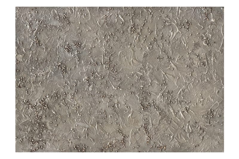 Fototapet Silver Serenade 300x210 - Artgeist sp. z o. o. - Boligtilbehør - Vægdekoration - Tapeter - Fototapeter