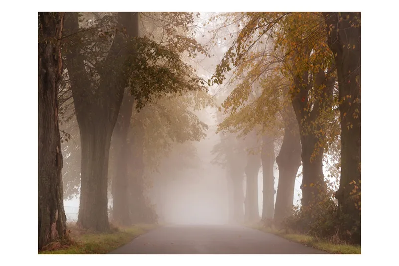 Fototapet Slutpunkt 400x309, Artgeist sp. z o. o.