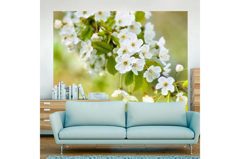 Fototapet Smukke Følsomme Kirsebær Blomster 400x309, Artgeist sp. z o. o.