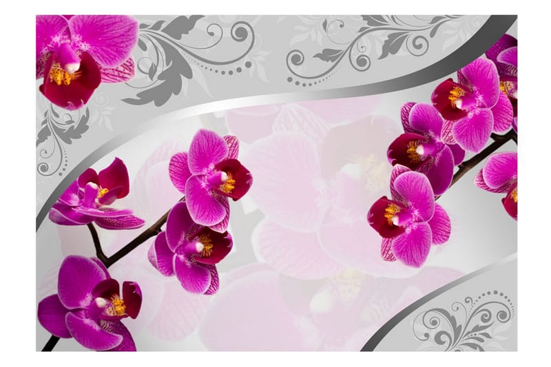 Fototapet Solace 350x245 - Artgeist sp. z o. o. - Boligtilbehør - Vægdekoration - Tapeter - Fototapeter