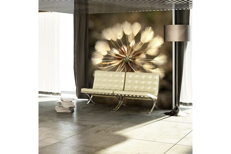 Fototapet Sommertid Mælkebøtte 250x193, Artgeist sp. z o. o.