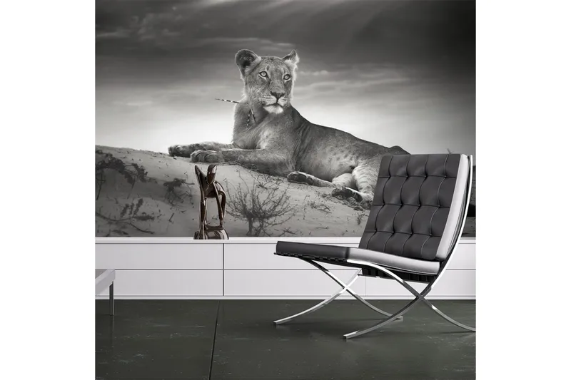 Fototapet Sort Og Hvidt Løvinde 300x231, Artgeist sp. z o. o.