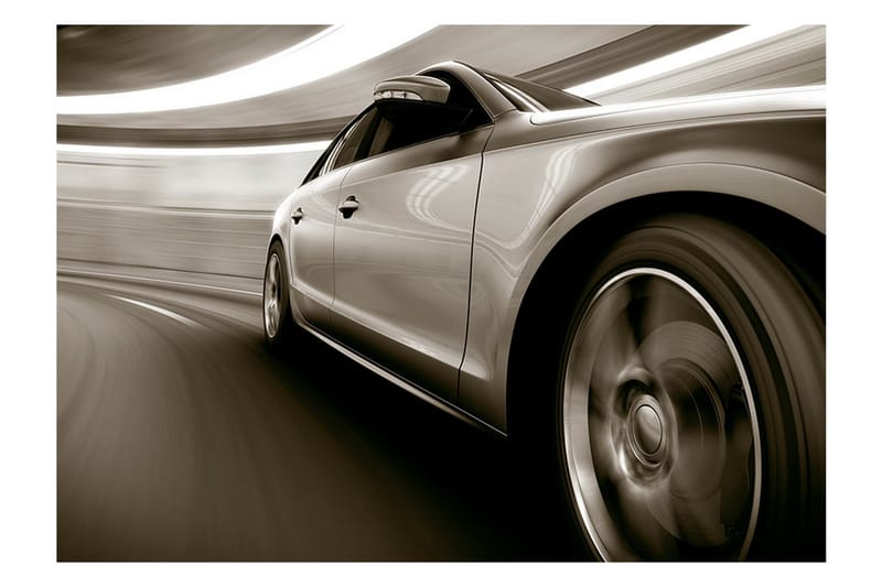 Fototapet Speed And Elegance 100x70 - Artgeist sp. z o. o. - Boligtilbehør - Vægdekoration - Tapeter - Fototapeter