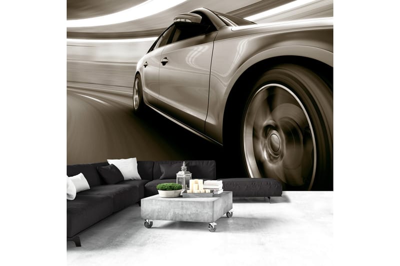 Fototapet Speed And Elegance 250x175 - Artgeist sp. z o. o. - Boligtilbehør - Vægdekoration - Tapeter - Fototapeter