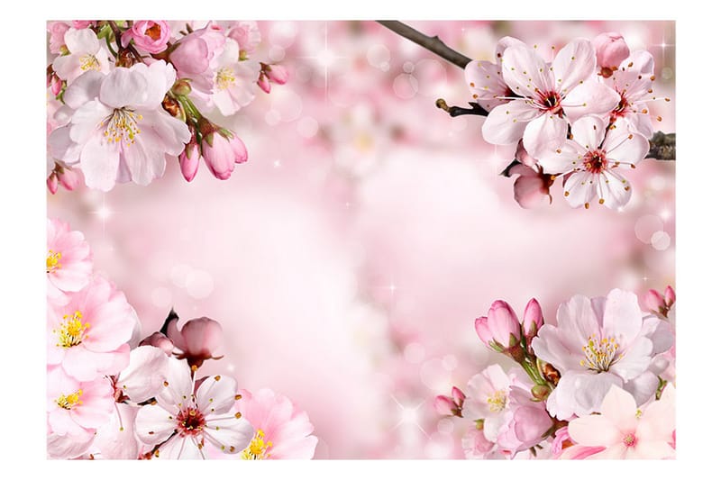 Fototapet Spring Cherry Blossom 350x245 - Artgeist sp. z o. o. - Boligtilbehør - Vægdekoration - Tapeter - Fototapeter