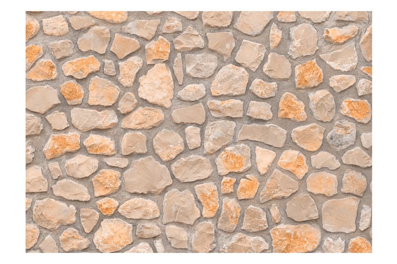 Fototapet Stone Age 350x245 - Artgeist sp. z o. o. - Boligtilbehør - Vægdekoration - Tapeter - Fototapeter