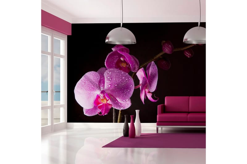 Fototapet Stylish Orchids 200x154 - Artgeist sp. z o. o. - Fototapeter
