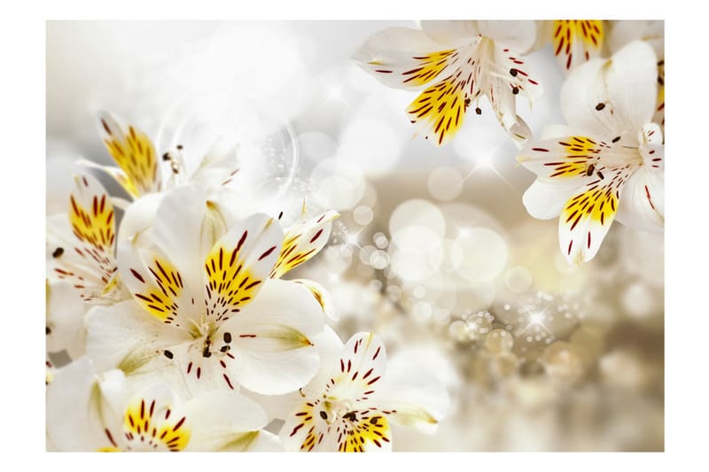 Fototapet Sunny Alstroemeria 350x245 - Artgeist sp. z o. o. - Boligtilbehør - Vægdekoration - Tapeter - Fototapeter