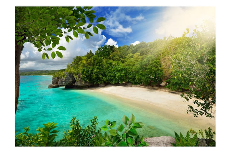 Fototapet Sunny Beach 100x70 - Artgeist sp. z o. o. - Boligtilbehør - Vægdekoration - Tapeter - Fototapeter