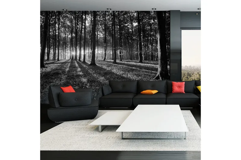 Fototapet The Light In The Forest 250x175, Artgeist sp. z o. o.