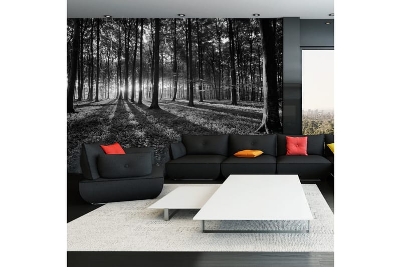 Fototapet The Light In The Forest 400x280, Artgeist sp. z o. o.