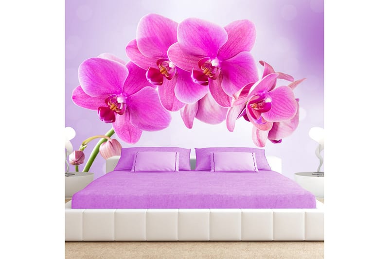 Fototapet Thoughtfulness 200x140, Artgeist sp. z o. o.