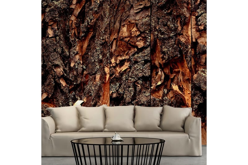 Fototapet Time Carved In The Tree 50x1000, Artgeist sp. z o. o.