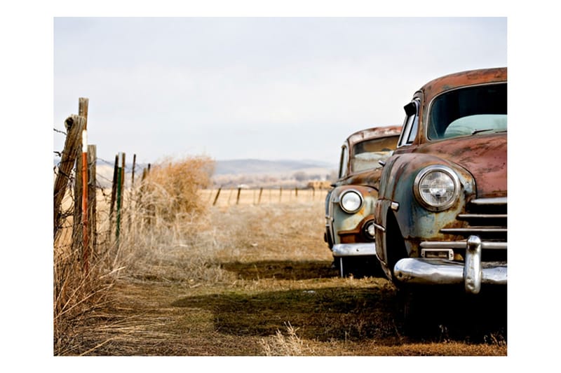 Fototapet To Gamle Amerikanske Biler 350x270, Artgeist sp. z o. o.