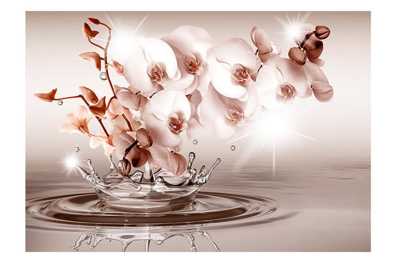 Fototapet Touch Of Tenderness 150x105 - Artgeist sp. z o. o. - Boligtilbehør - Vægdekoration - Tapeter - Fototapeter