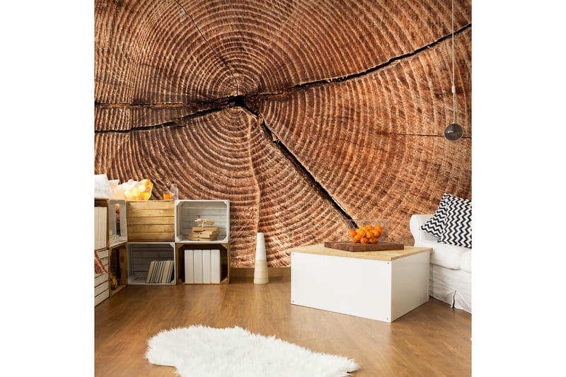 Fototapet Træstamme Tværsnit 250x193, Artgeist sp. z o. o.