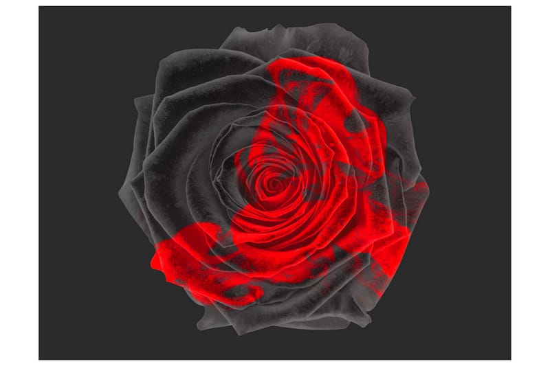 Fototapet Transformation 350x270, Artgeist sp. z o. o.