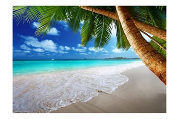 Fototapet Tropical Island 100x70 - Artgeist sp. z o. o. - Boligtilbehør - Vægdekoration - Tapeter - Fototapeter