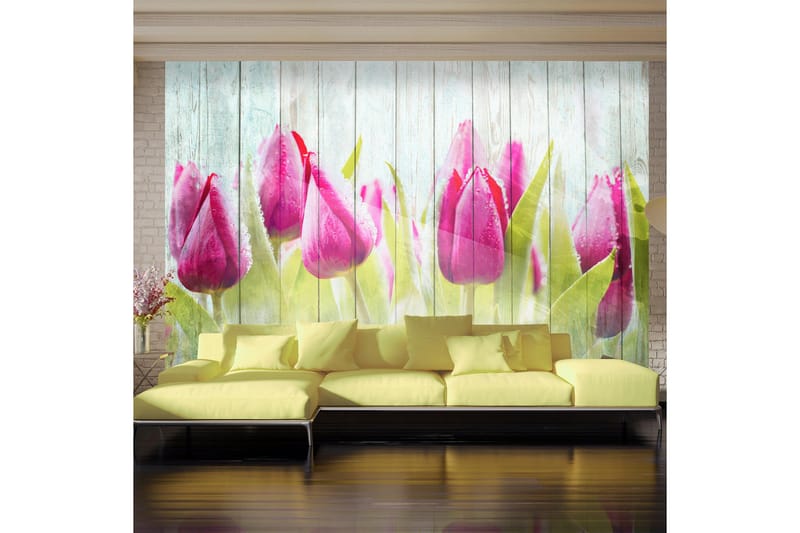 Fototapet Tulips On White Wood 300x210, Artgeist sp. z o. o.