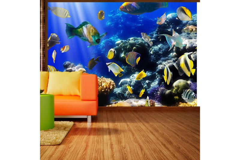 Fototapet Underwater Adventure 200x140, Artgeist sp. z o. o.