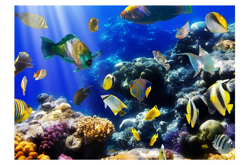 Fototapet Underwater Adventure 200x140 - Artgeist sp. z o. o. - Boligtilbehør - Vægdekoration - Tapeter - Fototapeter