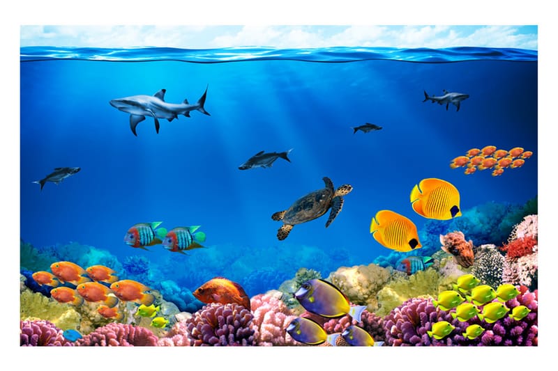 Fototapet Underwater Kingdom 100x70 - Artgeist sp. z o. o. - Boligtilbehør - Vægdekoration - Tapeter - Fototapeter