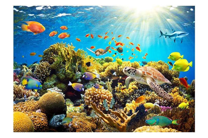 Fototapet Underwater Land 150x105 - Artgeist sp. z o. o. - Boligtilbehør - Vægdekoration - Tapeter - Fototapeter