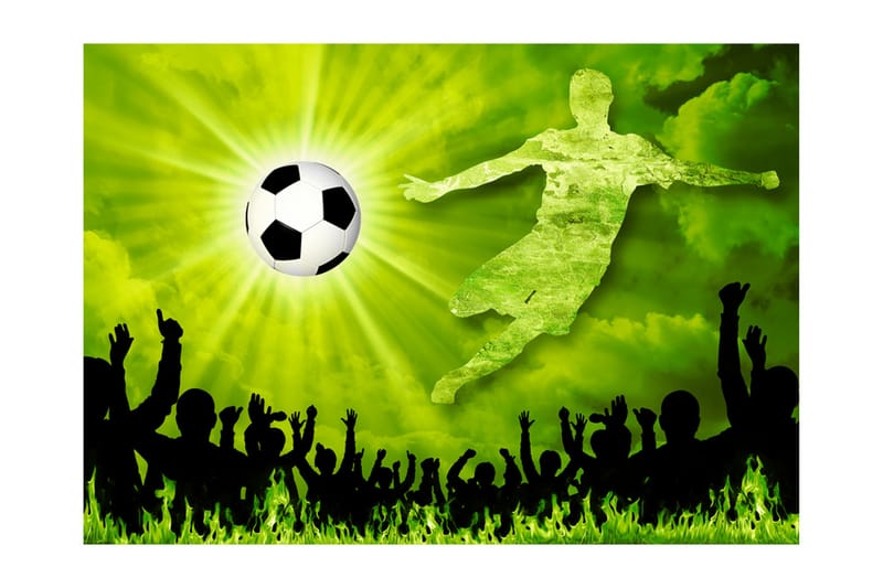 Fototapet Victory! 300x210 - Artgeist sp. z o. o. - Boligtilbehør - Vægdekoration - Tapeter - Fototapeter
