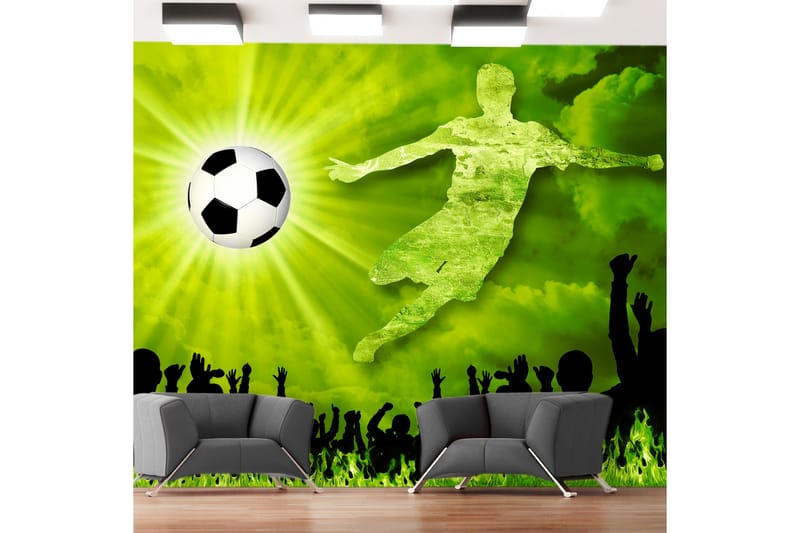 Fototapet Victory! 400x280 - Artgeist sp. z o. o. - Boligtilbehør - Vægdekoration - Tapeter - Fototapeter