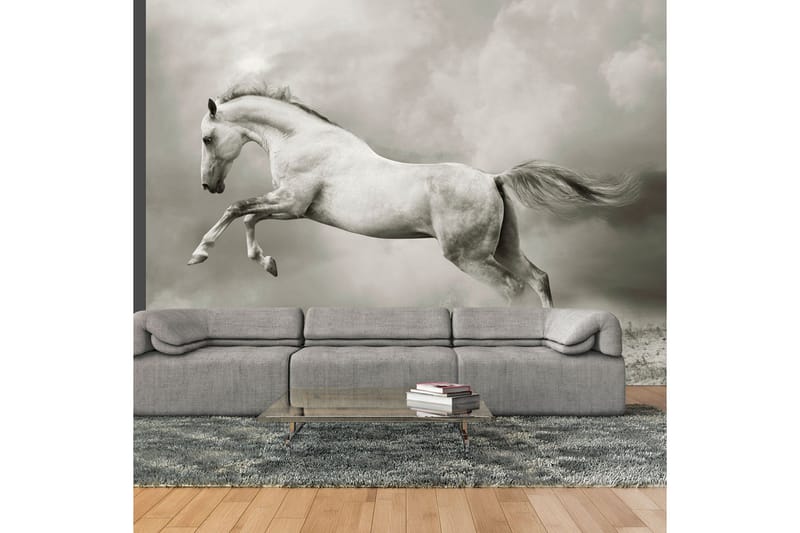 Fototapet Vild Hingst 350x270 - Artgeist sp. z o. o. - Boligtilbehør - Vægdekoration - Tapeter - Fototapeter