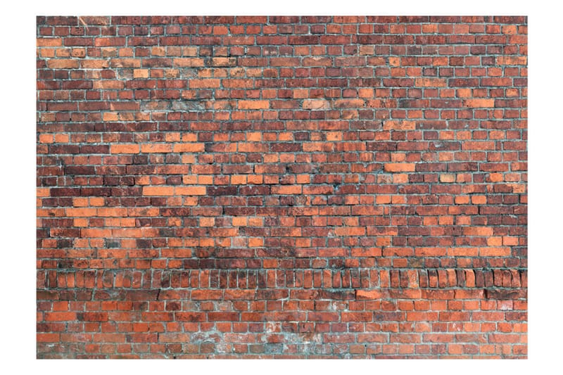 Fototapet Vintage Wall Red Brick 350x245 - Artgeist sp. z o. o. - Boligtilbehør - Vægdekoration - Tapeter - Fototapeter