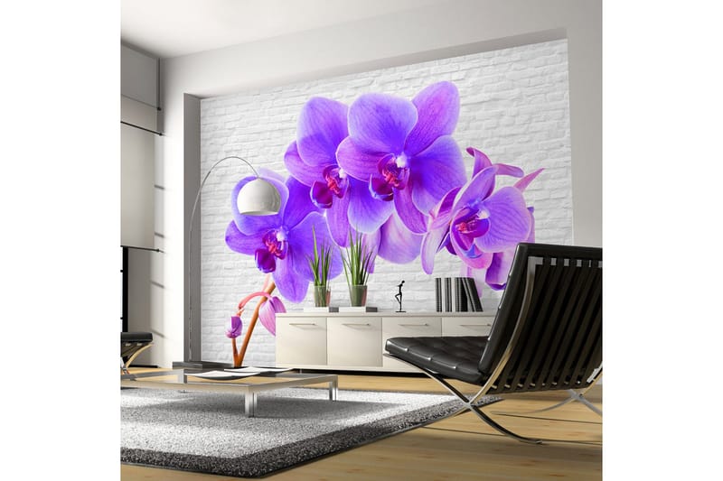 Fototapet Violet Excitation 400x280, Artgeist sp. z o. o.