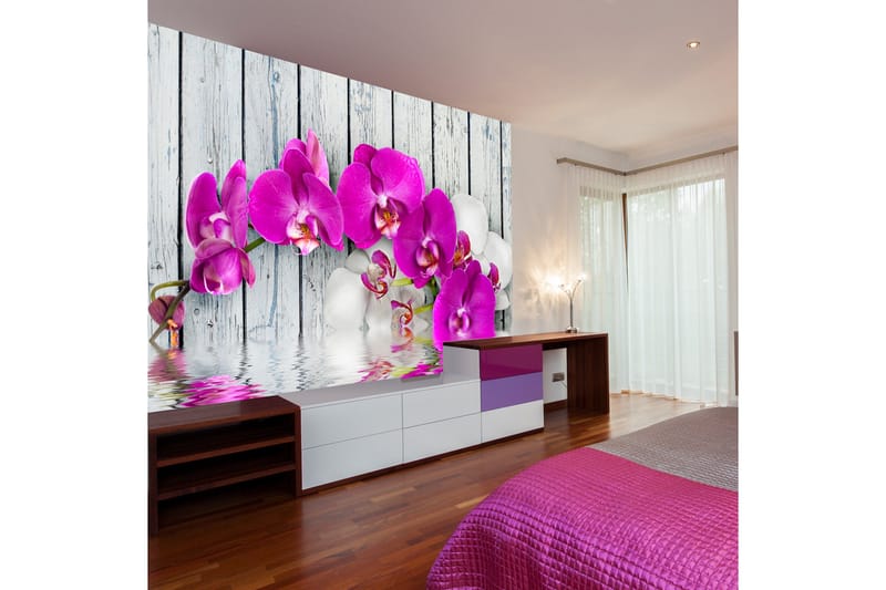 Fototapet Violet Orchids With Water Reflexion 350x270 - Artgeist sp. z o. o. - Boligtilbehør - Vægdekoration - Tapeter - Fototapeter