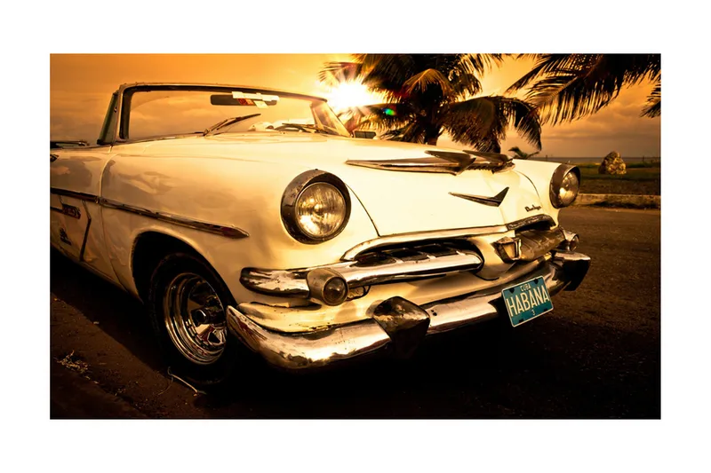 Fototapet Viva! 450x270 - Artgeist sp. z o. o. - Boligtilbehør - Vægdekoration - Tapeter - Fototapeter